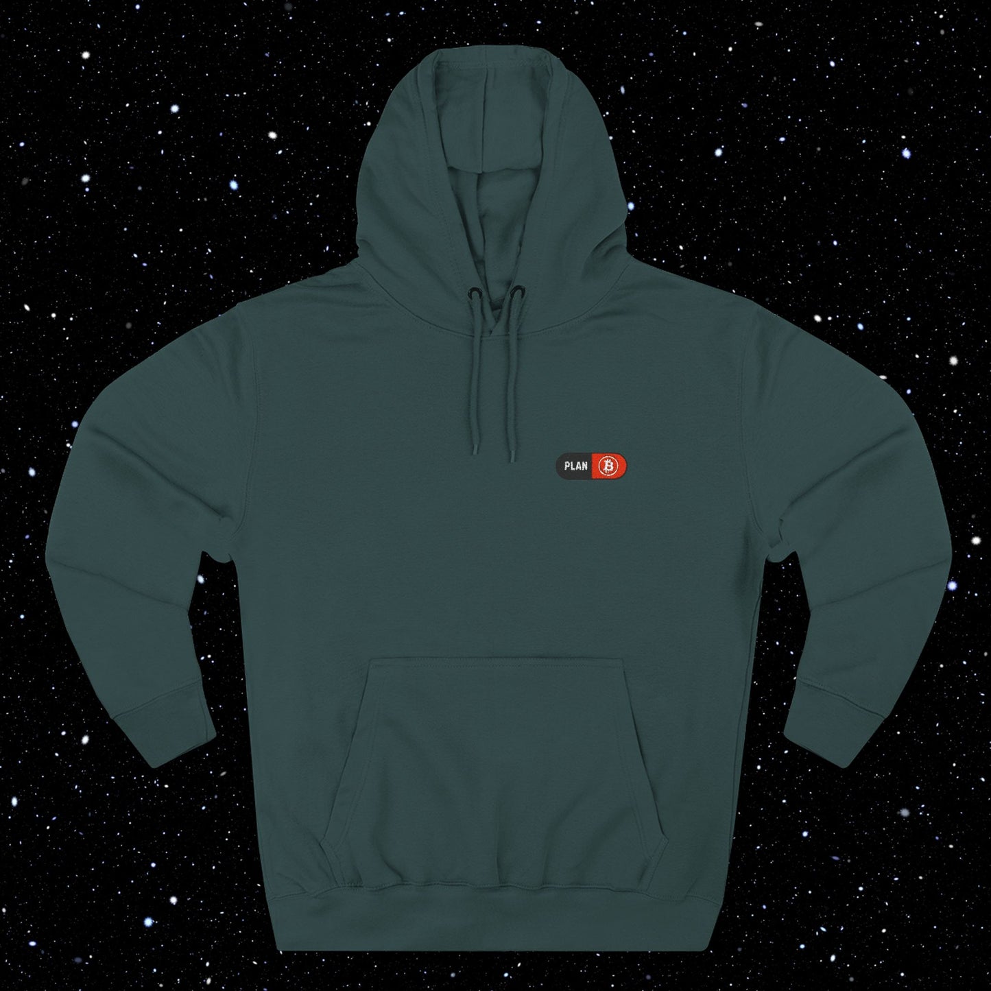 Plan B Embroidered Hoodie