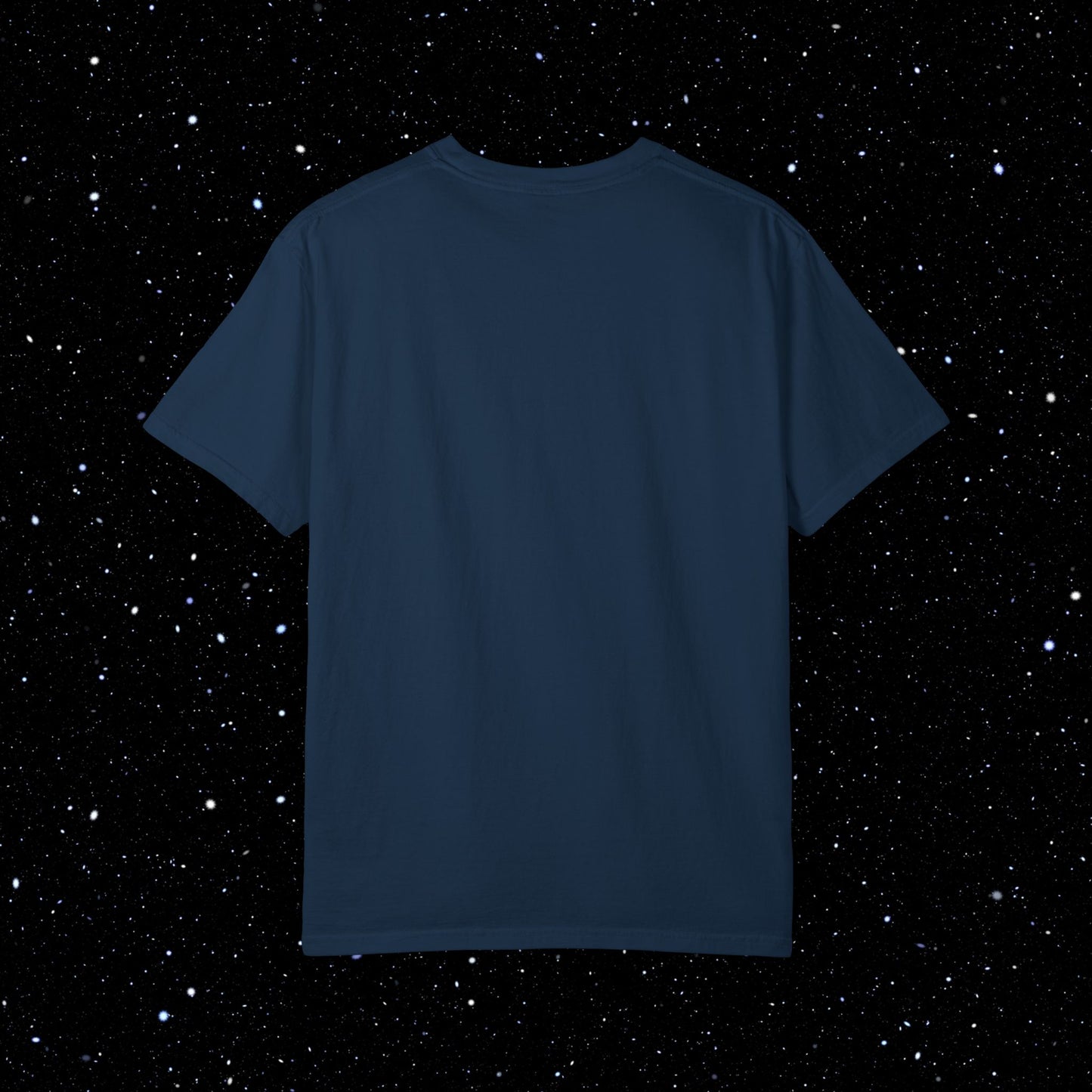 VIVA BTC Front Print Lightning Rod - Comfort Colors Bitcoin Shirt