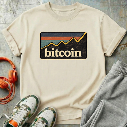 Bitcoin Retro Chart
