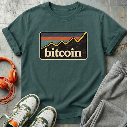 Bitcoin Retro Chart