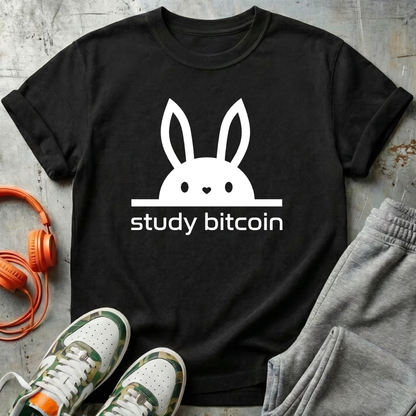 Study Bitcoin Rabbit Hole