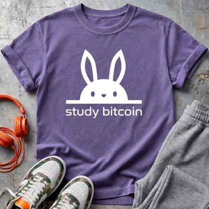 Study Bitcoin Rabbit Hole