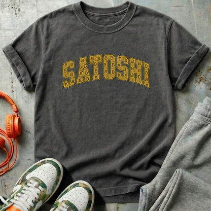 Satoshi Bitcoin Pattern
